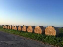 Via Francigena: da Fiorenzuola a Fidenza