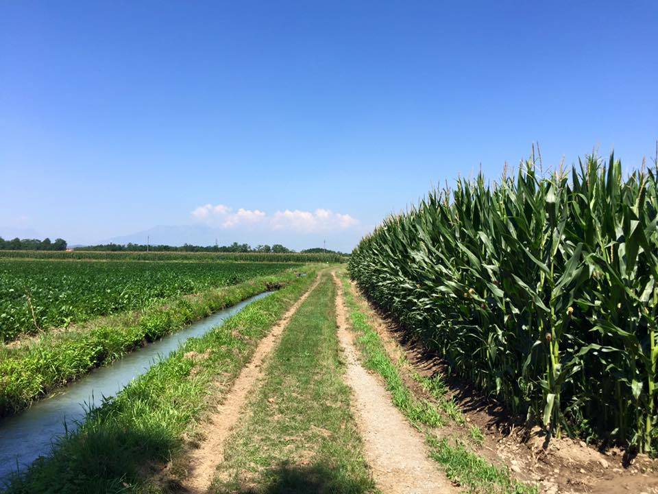 Via Francigena: da Piverone a Santhiá