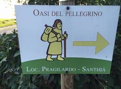 via francigena santhià vercelli