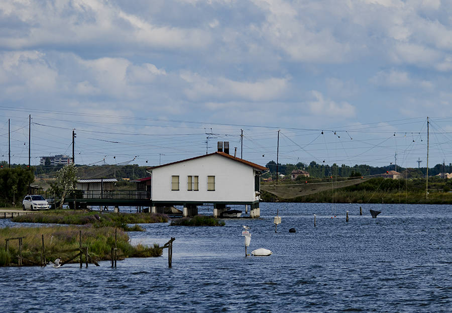 Le Valli di Comacchio