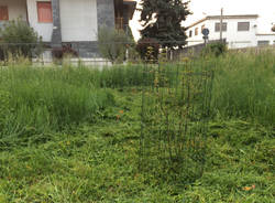 Gli alberi di via Stradella