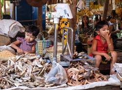 Gli sguardi del Myanmar