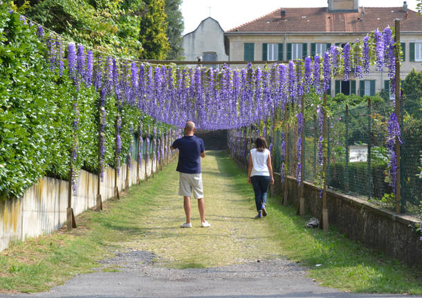 San Tito: al via la festa