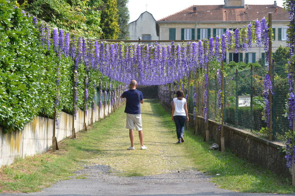 Al via la festa di San Tito