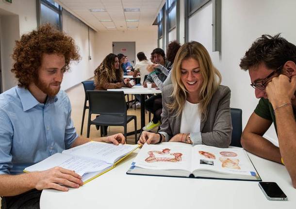 Accademia Italiana di Medicina Osteopatica