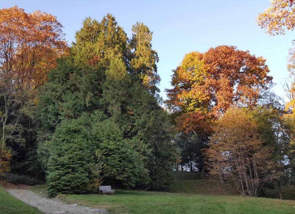 Bisuschio - Foliage a Villa Cicogna Mozzoni