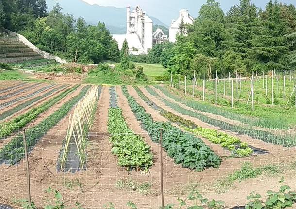 Caravate e Dumenza: laboratorio agricoltura. Cercasi volontari per nuovi laboratori