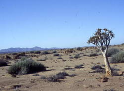 Namibia