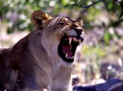 Namibia