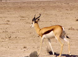 Namibia