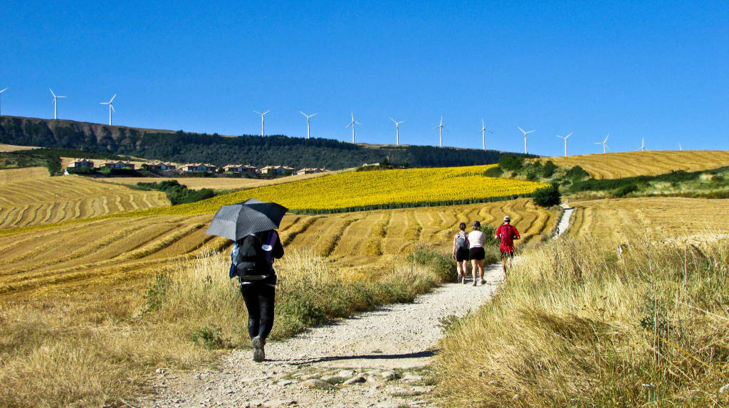 Pellegrinaggio a Santiago di Compostela