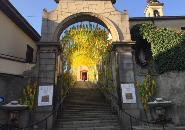 Casorate si “veste” di fiori per San Tito