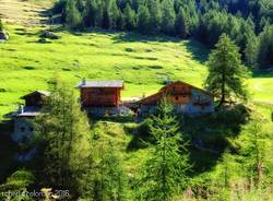 Valle D'Ayas