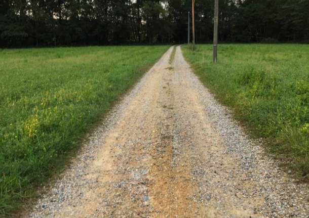 Via Molino Rocco, una strada bianca “da salvare”