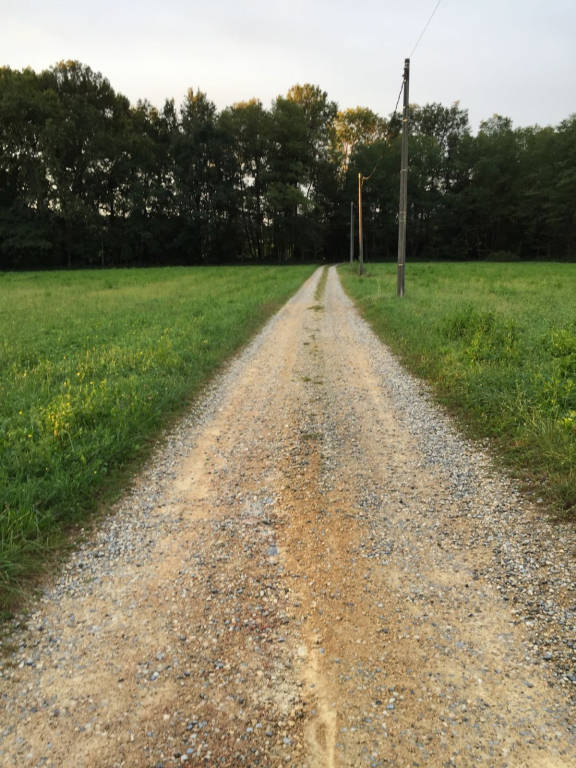 Via Molino Rocco: una strada "bianca" da salvare