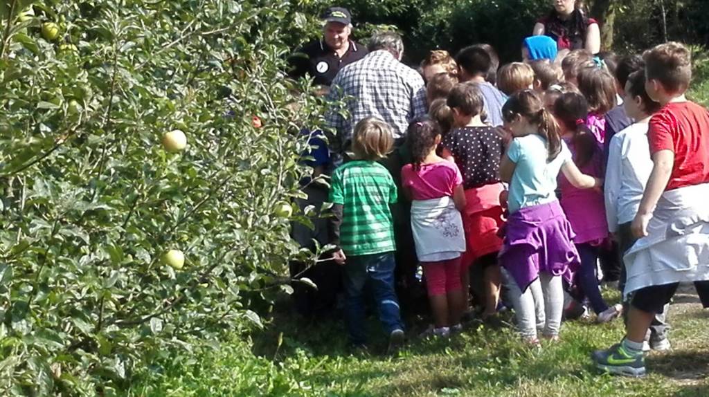 La visita al frutteto della mela Poppina