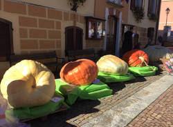 La sagra della zucca