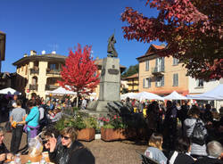 La sagra della zucca