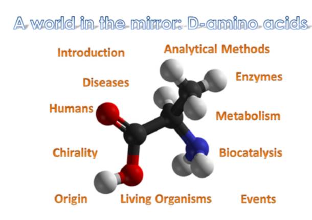 ricerca su d amino acidi