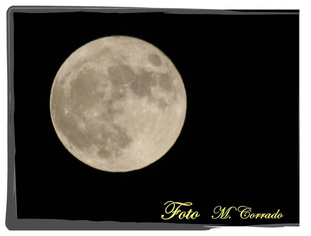 Ecco la mia SUPER MOON!!!   14 Novembre 2016