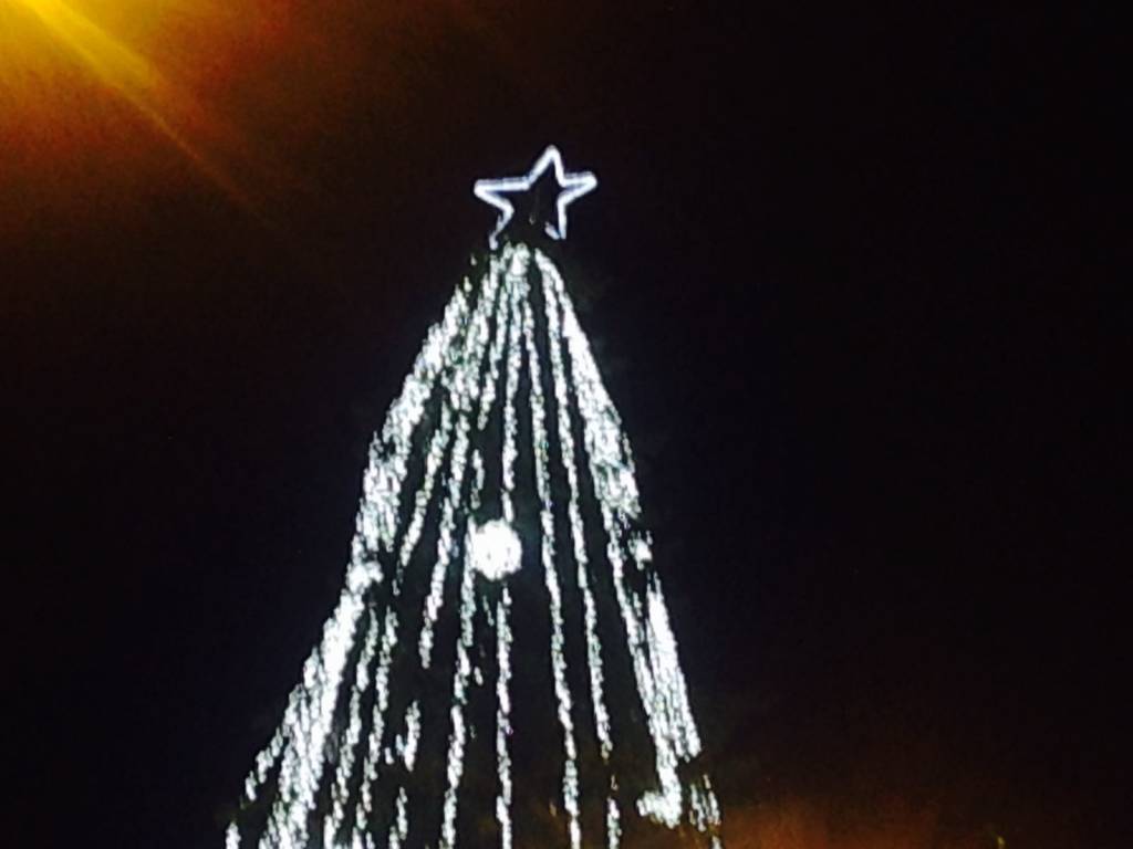 Si accende l'albero di Natale in piazza Monte Grappa a Varese