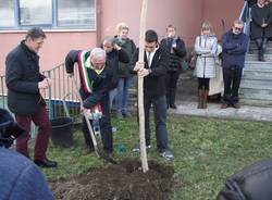 Un albero per Lorenzo