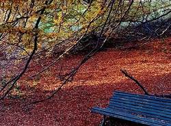 Villa Toeplitz d'autunno