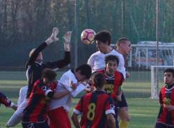 belfortese 