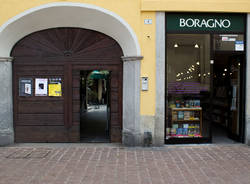 boragno bustolibri generica