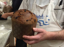 Ecco come nasce un panettone artigianale 