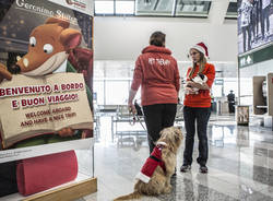 La Pet Therapy sbarca a Malpensa