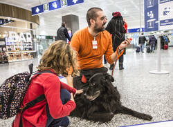 La Pet Therapy sbarca a Malpensa