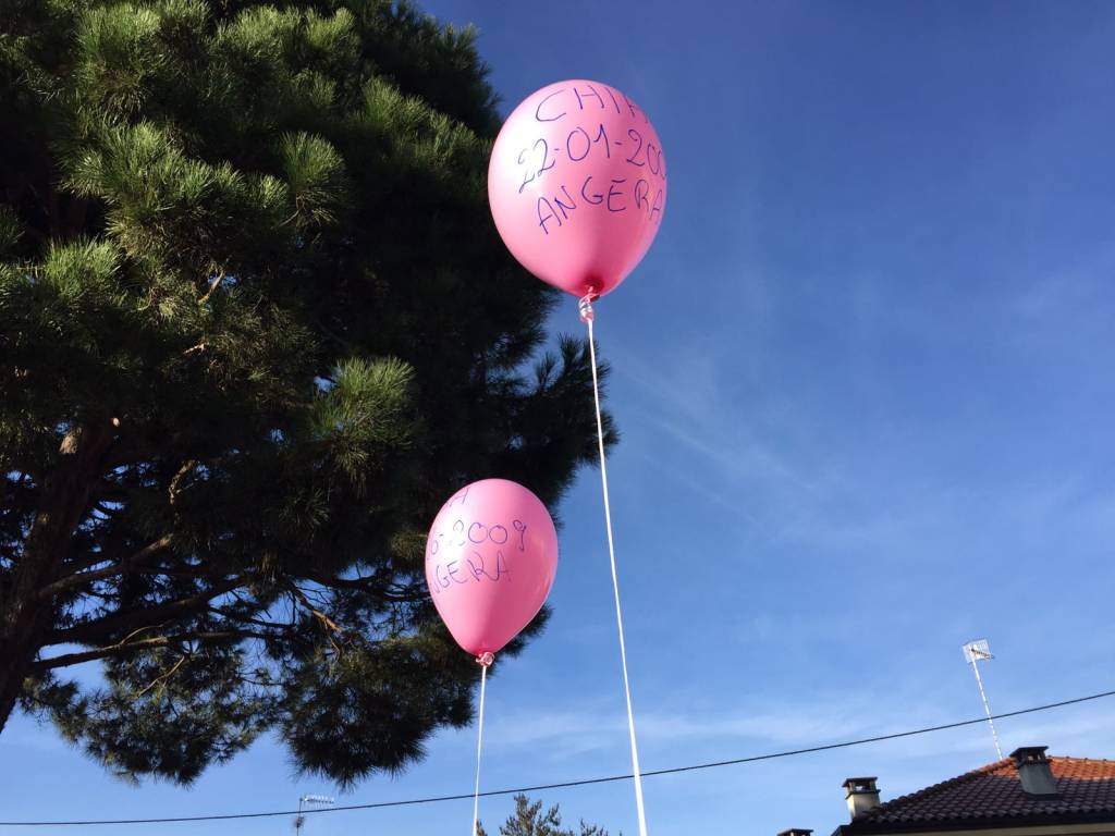 La protesta delle mamme per l'ospedale di angera