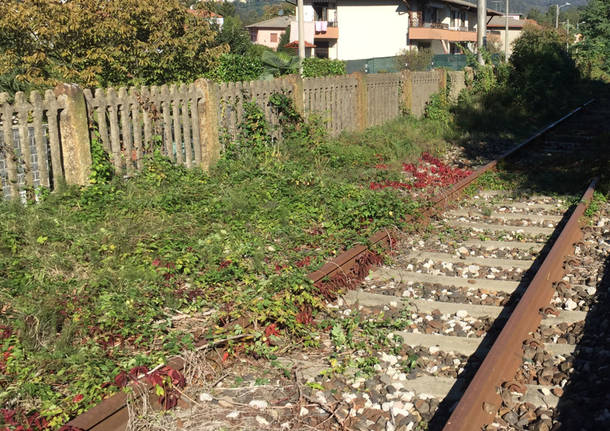 Bisuschio - stazione autunno 2016