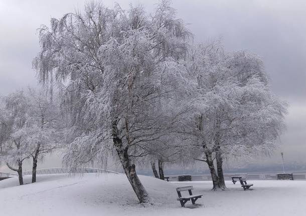 Germignaga nella neve