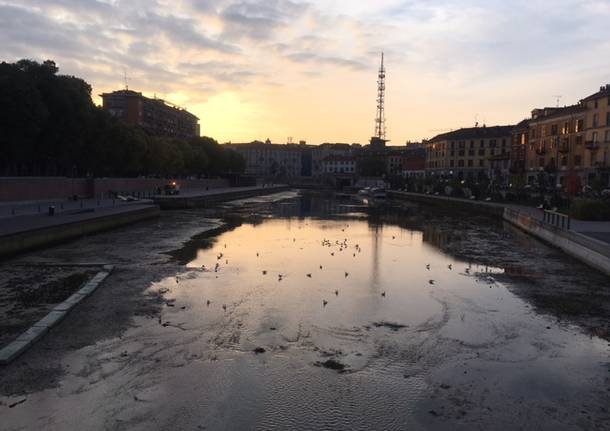 Al Via L Asciutta Del Naviglio Grande