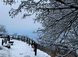 Campo dei Fiori, c'è ancora neve