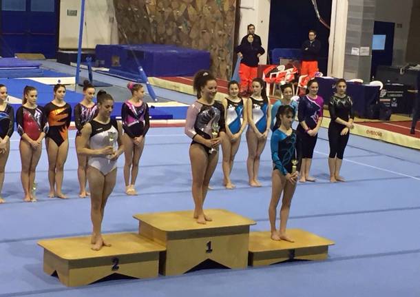 Ginnastica artistica