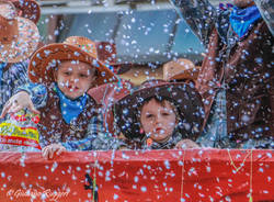 Il Carnevale di Varese