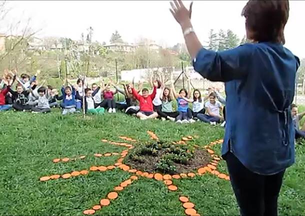 Kaki, si rinnova la festa per l’albero della pace