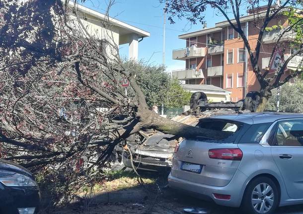 incidente auto via quintino sella