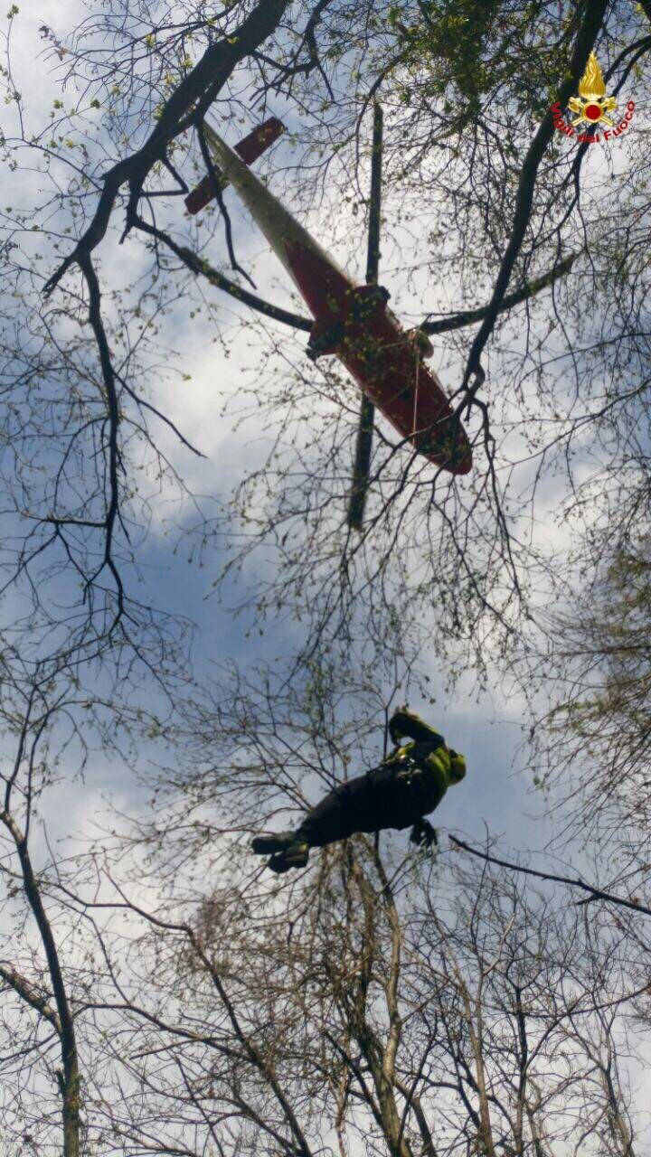 Coniugi scomparsi, i vigili del fuoco trovano il marito