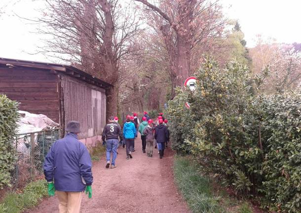 Verde pulito, associazioni e ragazzi insieme nei boschi