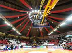 pallacanestro varese, basket