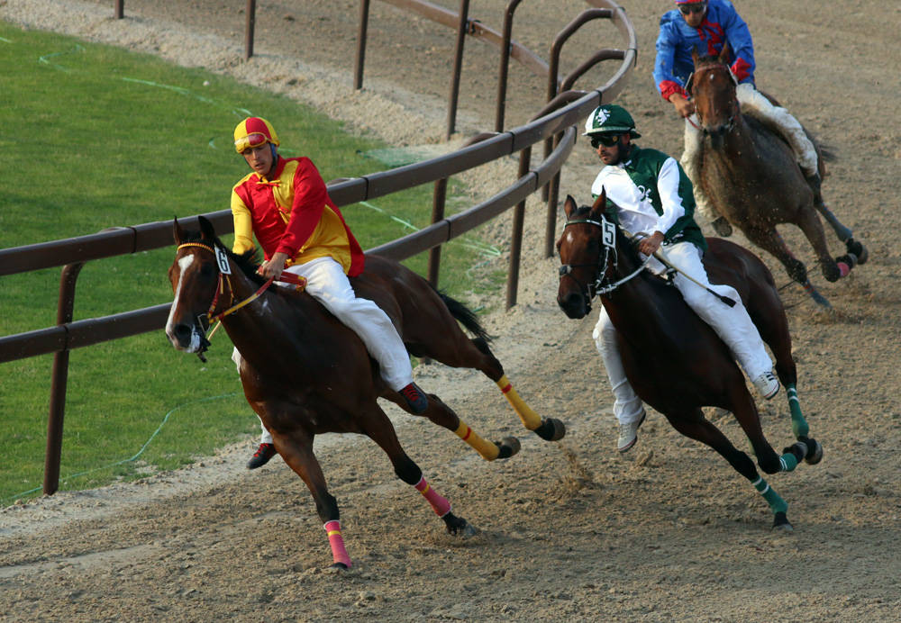 legnarello palio di legnano 2017