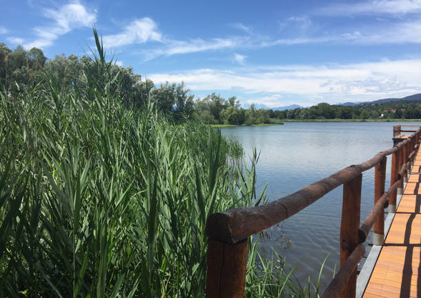 Al pontile di Capolago