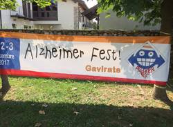 Alzheimer fest