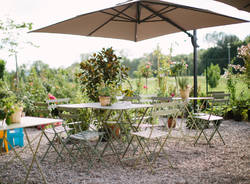 Colazione ai Giardini del Lago