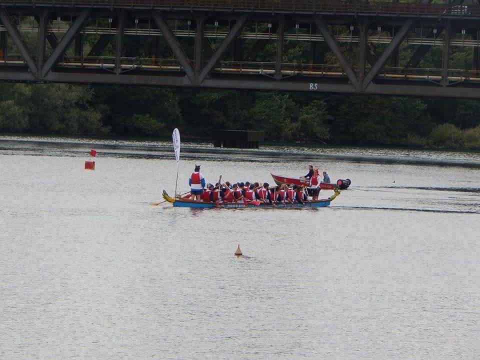 La gara di Dragon Boat a Sesto Calende