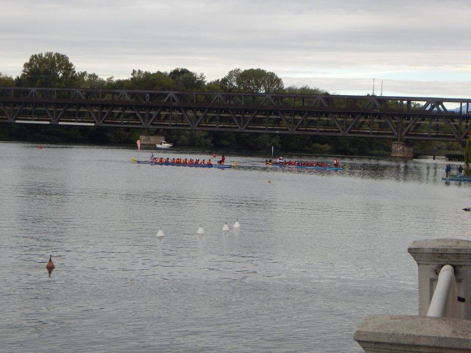 La gara di Dragon Boat a Sesto Calende